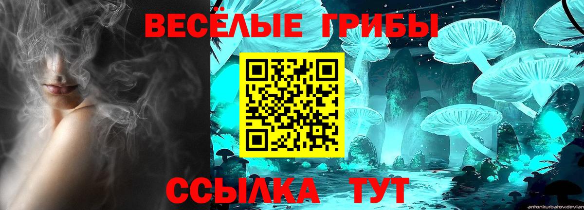 Белово  Галлюциногенные грибы прущие грибы  Вход с VPN 